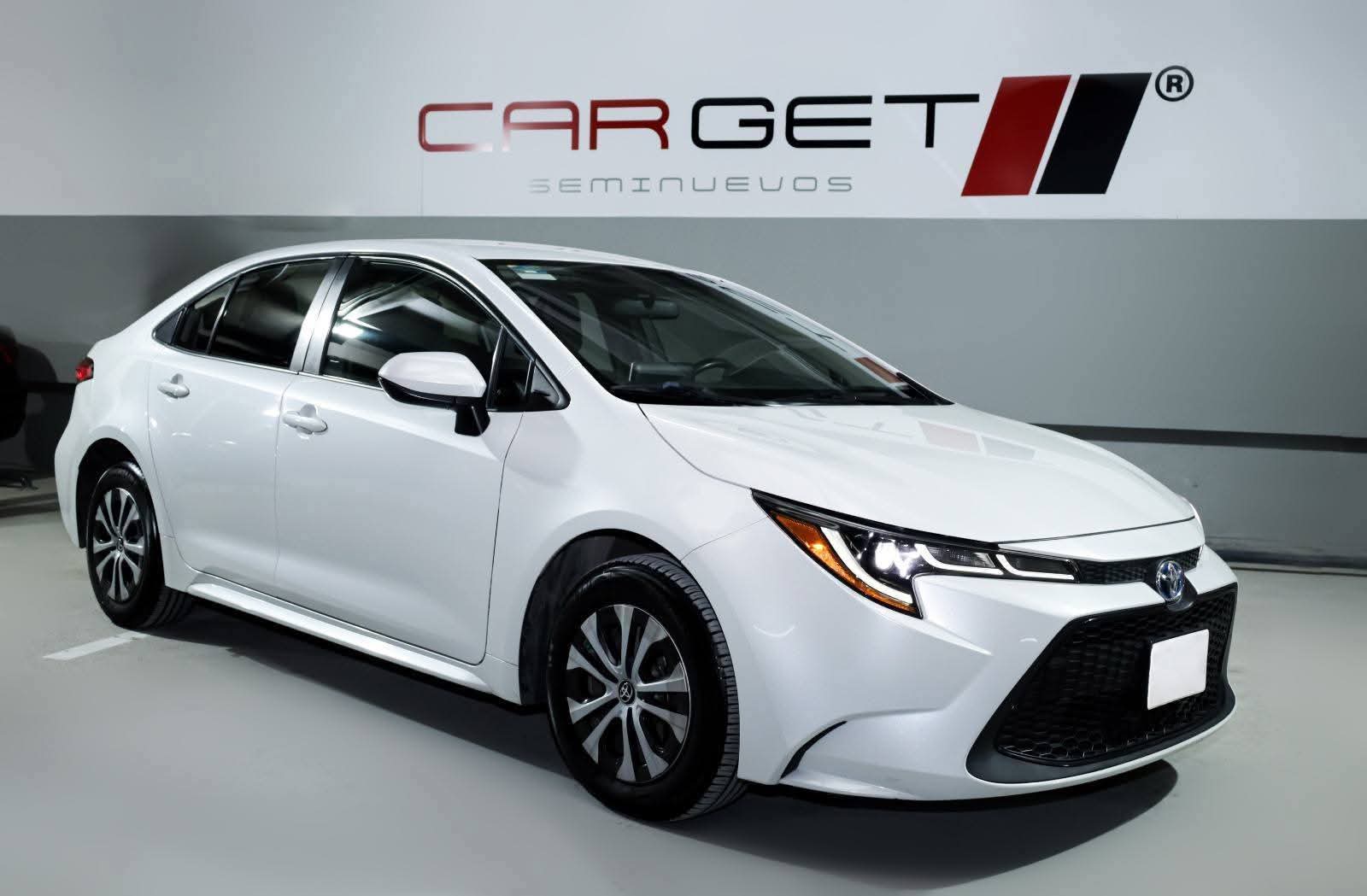 WhatsApp Image 2026-01-09 at 9.01.14 PM