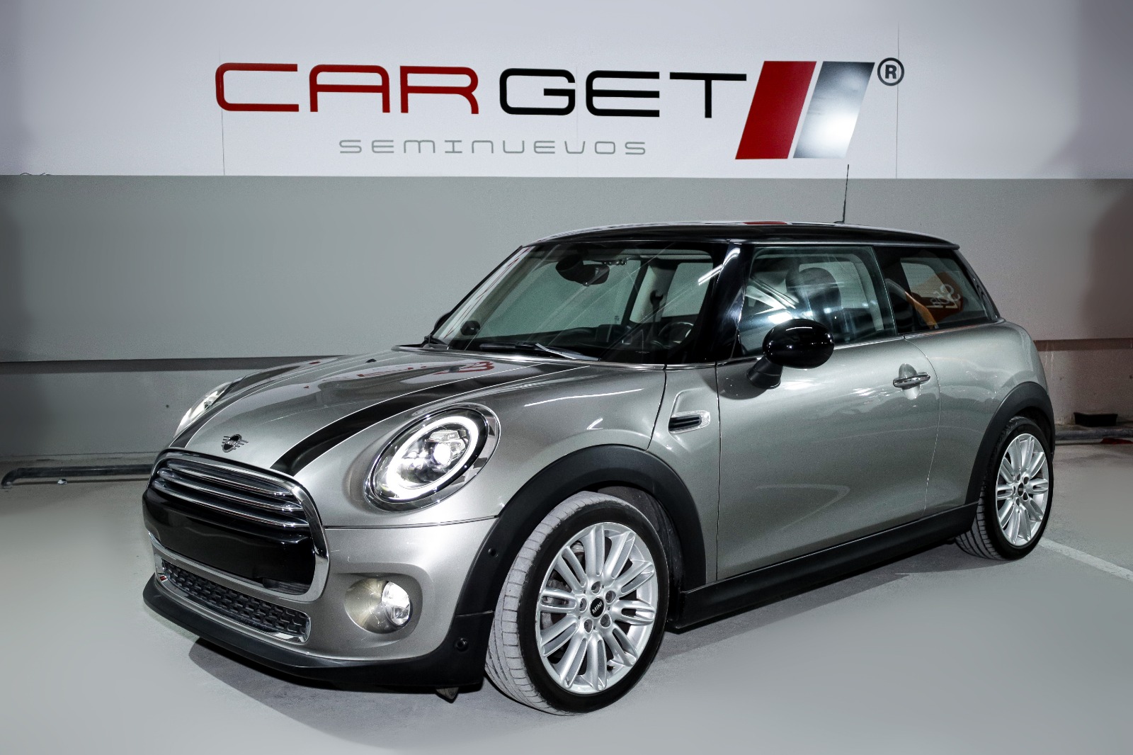 WhatsApp Image 2026-02-11 at 12.13.46 PM